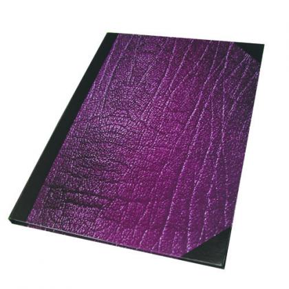 REGISTRU CARTONAT A4 100 FILE STANDARD MATEMATICA