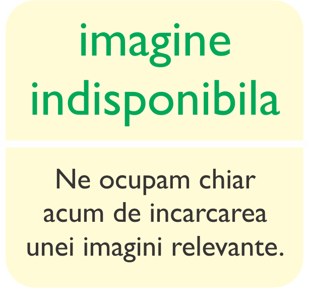 ODORIZANT TOALETA CU CARLIG BREF BILUTE